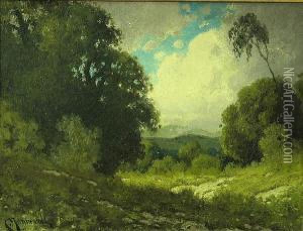 A Sunlit Clearing With Passing Clouds Oil Painting - Carl Henrik Jonnevold