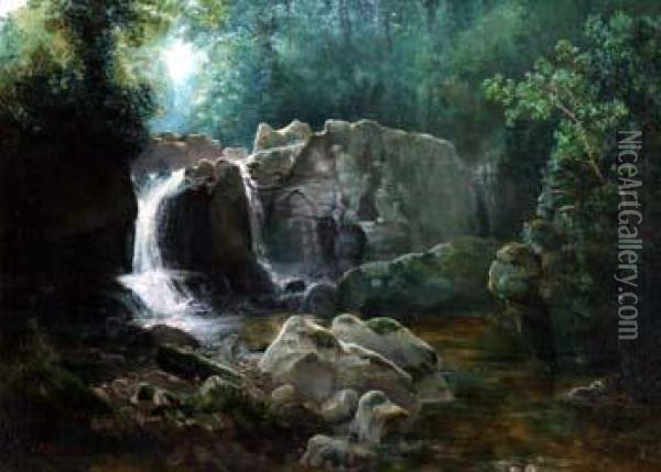 A
Waterfall In A Wooded River Landscape Oil Painting - Thomas Finchett