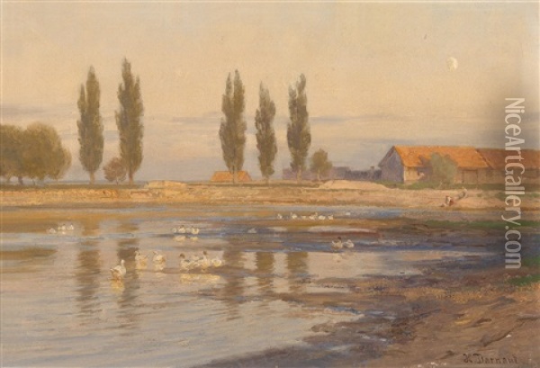 Weite Landschaft Mit Gansen Und Enten Am Flussufer Oil Painting - Hugo Darnaut