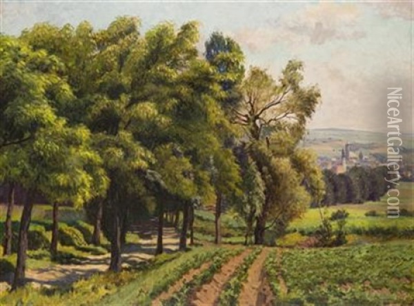 A View Of Domazlice Oil Painting - Vaclav Maly