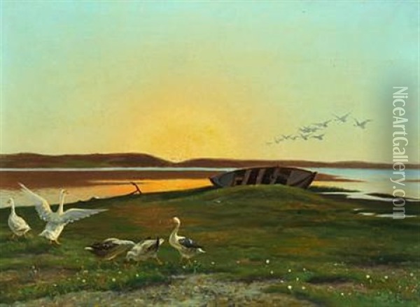 Landscape With Geese In The Sunset Oil Painting - Adolf Alfred Larsen