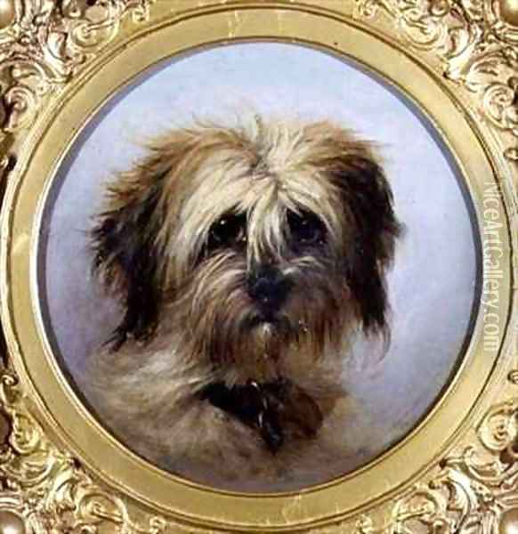 A Head of a Terrier Oil Painting - Agnes Dundas