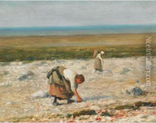 Collecting Seashells Oil Painting - William Edward Norton
