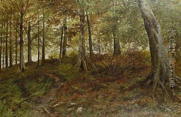 Heaning Wood, Yorkshire Oil Painting - Henry John Kinnaird