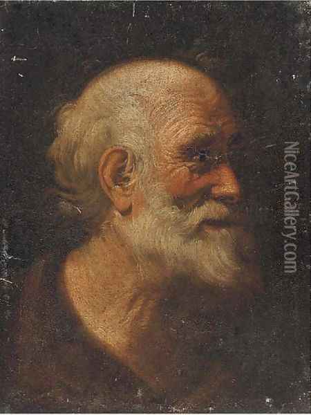 Head of a male saint Oil Painting - Giacomo Francesco Cipper