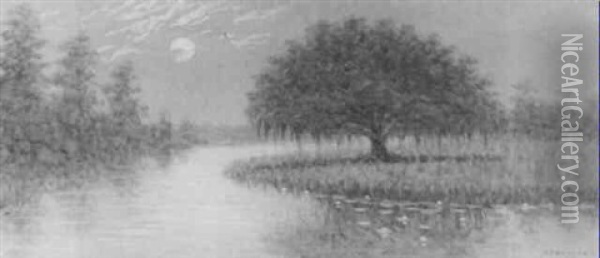 Moonrise Over The Swamp Oil Painting - Alexander John Drysdale