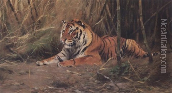 The Watchful Tiger Oil Painting - Wilhelm Friedrich Kuhnert