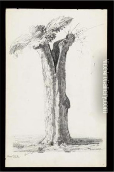 L'arbre Eclate Oil Painting - Odilon Redon
