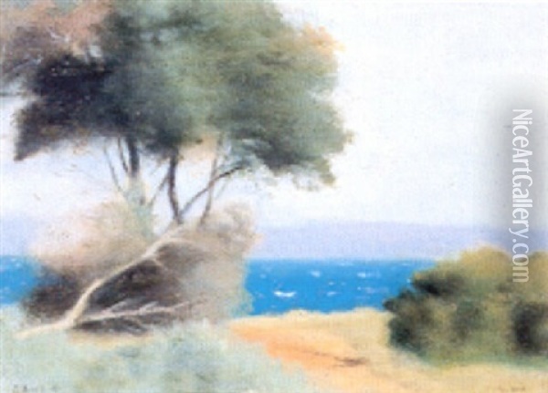 On The Cliffs Oil Painting - Clarice Marjoribanks Beckett
