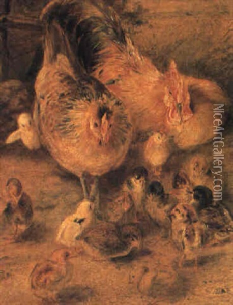 Family Of Chickens Oil Painting - William Huggins