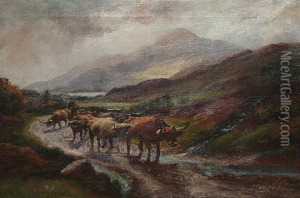 Highland Cattle, Nr Inverlochy Argyleshire Oil Painting - Harold Hall