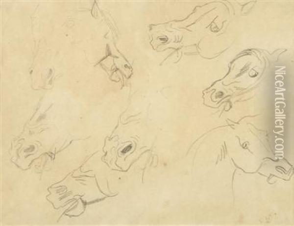 Horse Studies Oil Painting - Eugene Delacroix