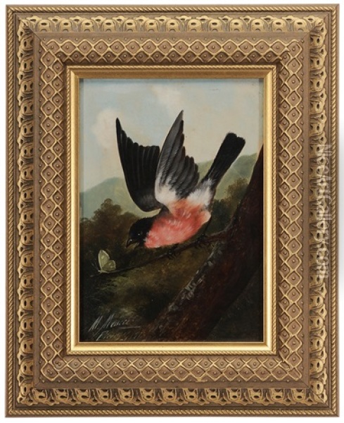 Bird With Butterfly Oil Painting - Michelangelo Meucci