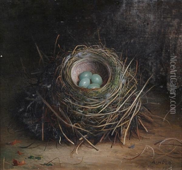 Bird's Nest With Blue Eggs; Bird's Nest With Speckled White Eggs Both 'a. Hold 1876' Oil Painting - Abel Hold