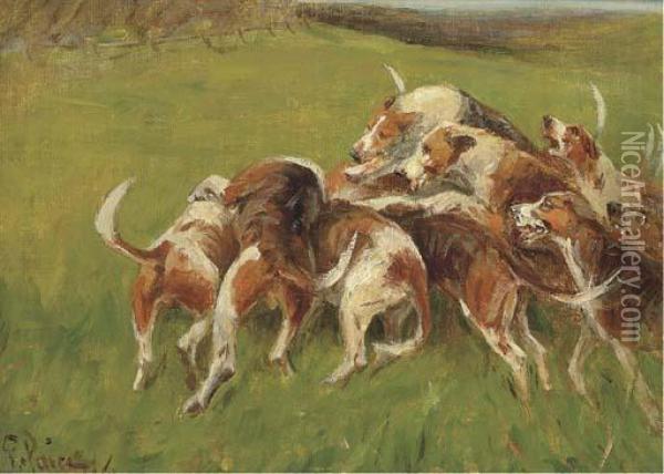 Hounds Closing In Oil Painting - George Paice