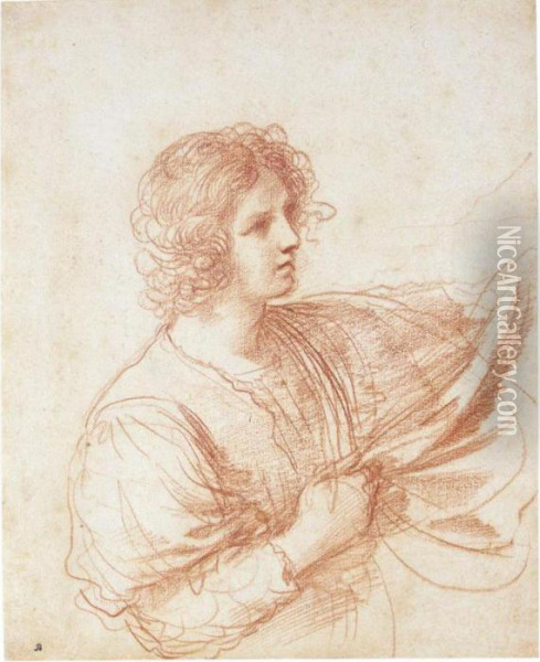 Youth Holding A Swag Of Drapery Oil Painting - Guercino