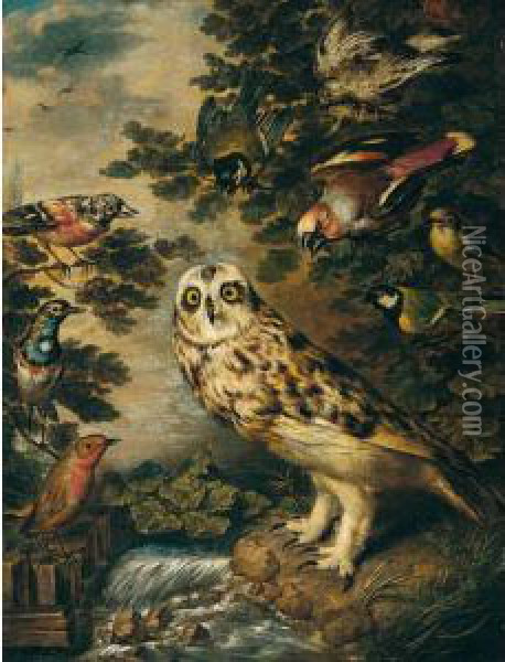 An Owl Mocked By Other Birds Oil Painting - Ferdinand Phillip de Hamilton