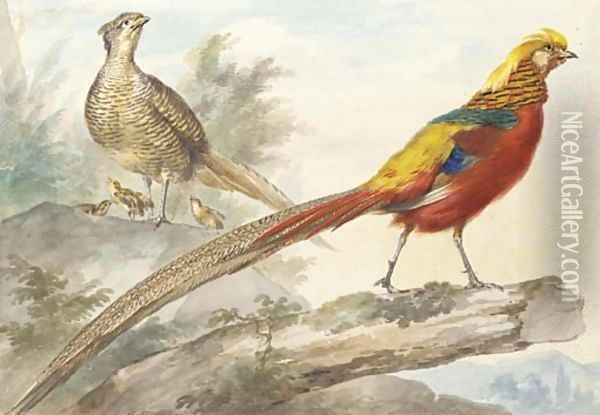 A Golden Pheasant standing on a log with a female pheasant and her chicks behind Oil Painting - Aert Schouman