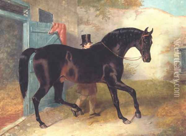 Dark Bay Racehorse by Stable Oil Painting - John Frederick Herring Snr