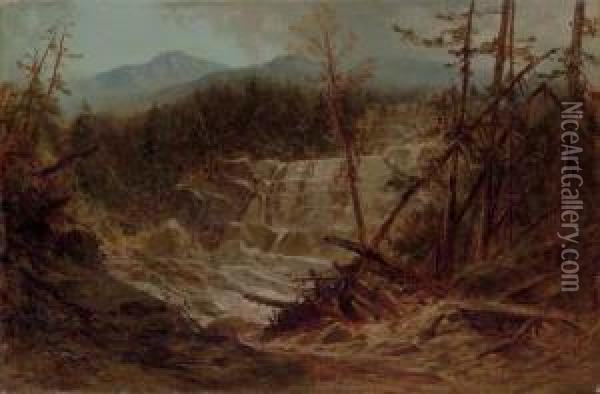 Stream In The Adirondacks Oil Painting - James David Smillie