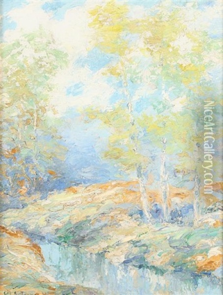 Trees By Stream Oil Painting - George A. Traver