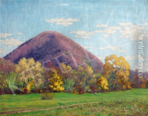Nagybanya Landscape Oil Painting - Samu Boertsoek