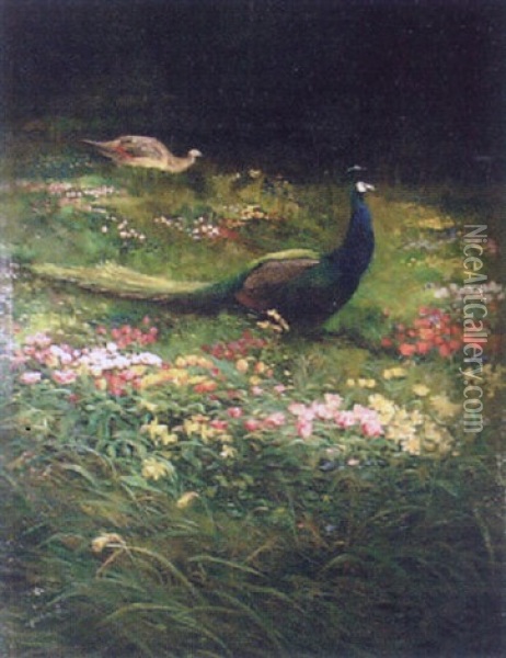 The Artist's Garden Oil Painting - Charles Whymper