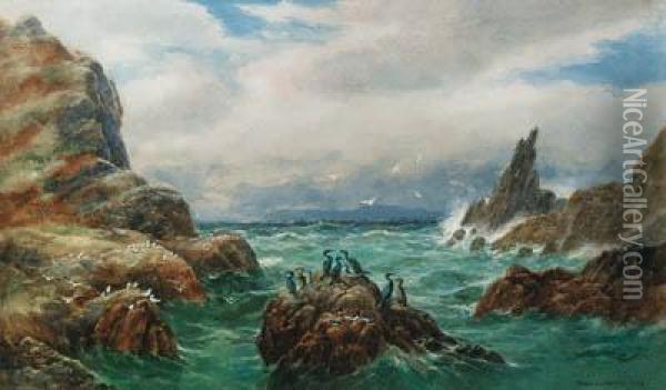 Wild Heather On The Achill Coast, Blacksod Bay, Co. Mayo Oil Painting - Alexander Williams