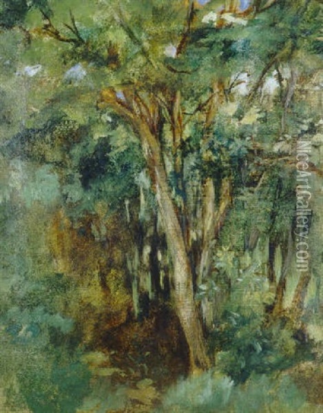 Troncs D'arbres Oil Painting - Edouard Manet