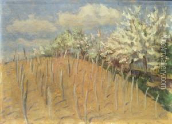 Spring Landscape Oil Painting - Erno Tibor