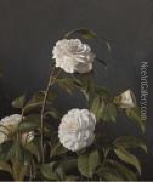Camellias Oil Painting - Otto Didrik Ottesen