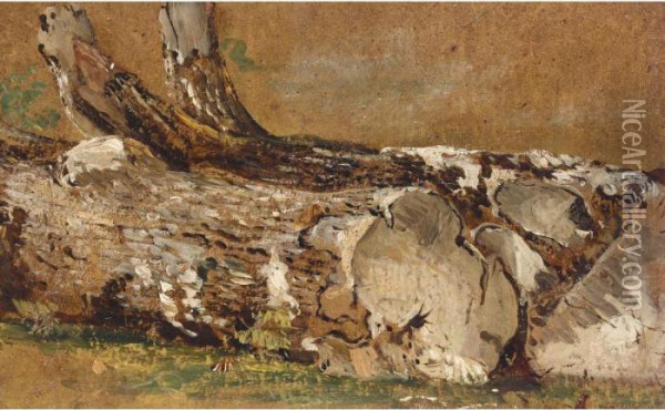 A Study Of Tree Trunks Oil Painting - Frederick Waters Watts
