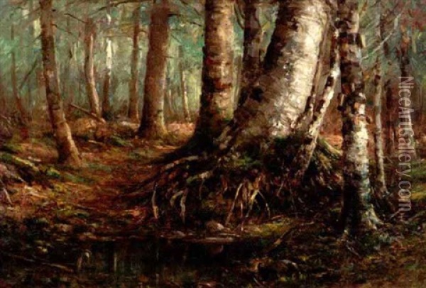 Woodland Interior Oil Painting - John Elwood Bundy