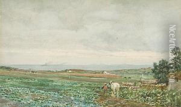 Return From The Fields, Caithness Oil Painting - Tom Scott