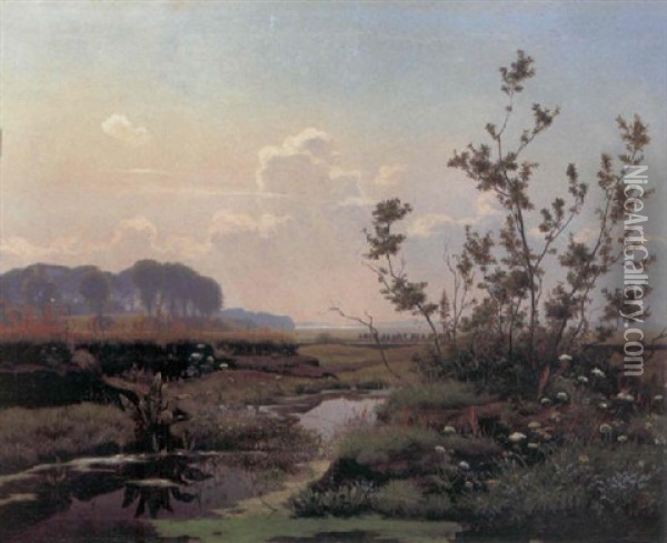 Torvemose Pa Sjaelland Oil Painting - Hans Ole Brasen
