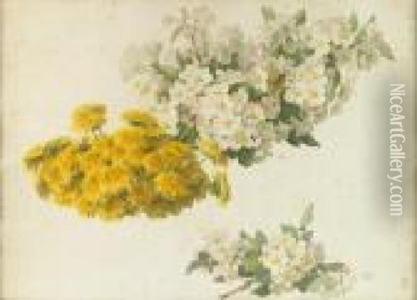 Study Of Apple Blossoms And Dandelions Oil Painting - Paul De Longpre