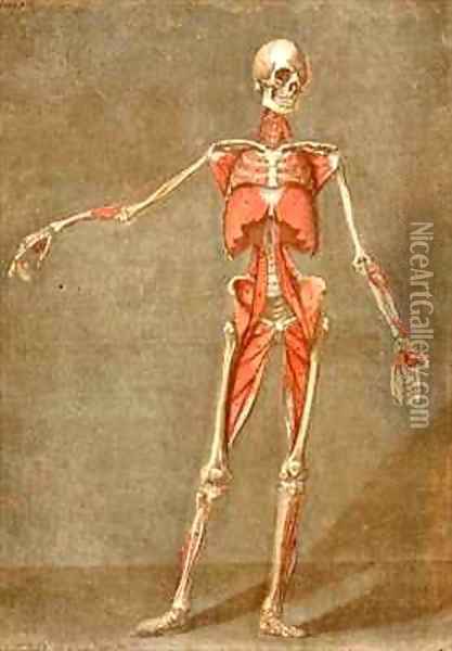 Deep Muscular System of the Front of the Body Oil Painting - Arnauld Eloi Gautier DAgoty