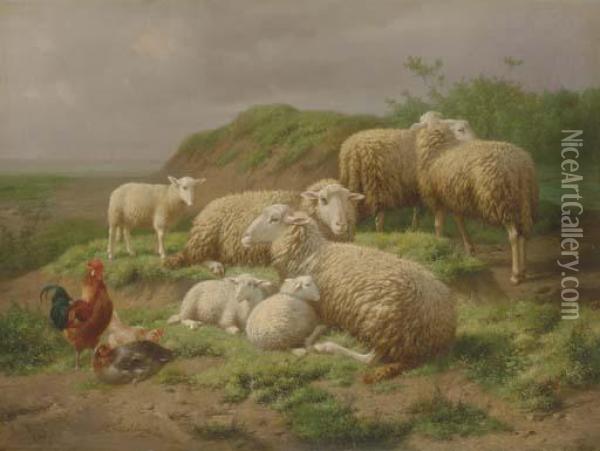 Sheep And Roosters In A Pasture Oil Painting - Eugene Remy Maes