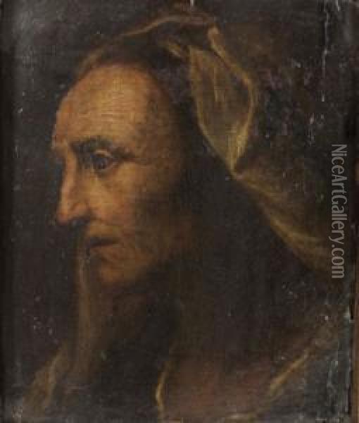 Testa Di Vecchia Oil Painting - Pietro Della Vecchio