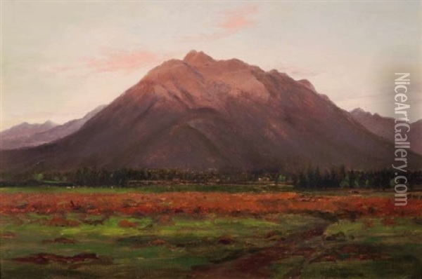 Te Aroha - Evening Oil Painting - Charles Blomfield