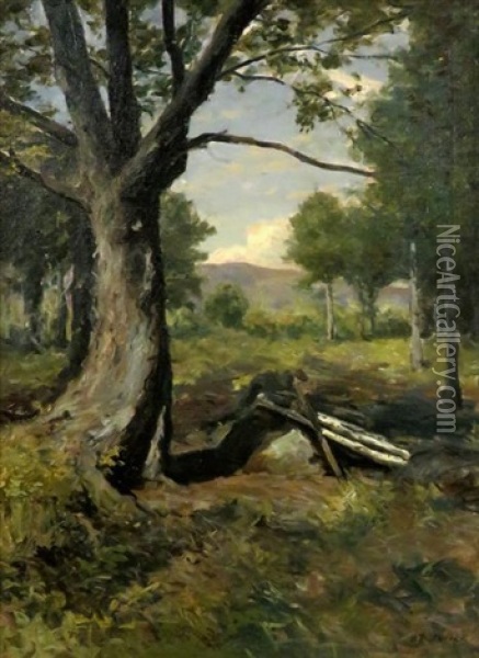 New Hampshire Landscape Oil Painting - William Rowell Derrick