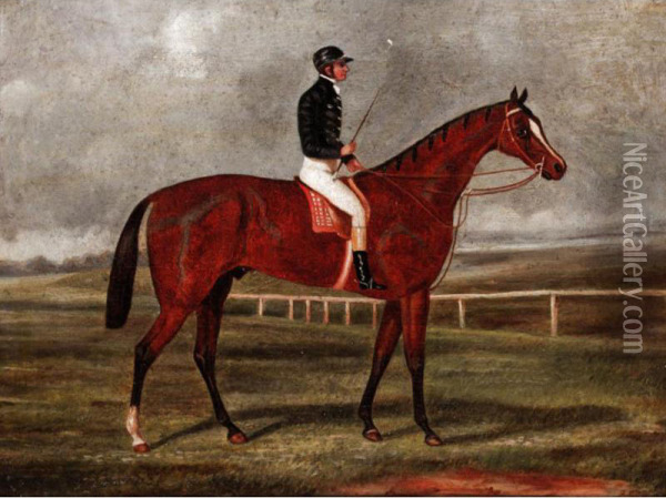 Portrait Of 
Phosphorus
, A Bay Racehorse, Winner Of The Derby In 1837 Oil Painting - C. Hart