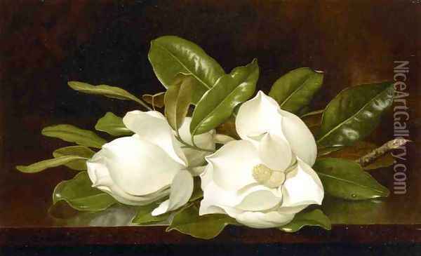 Magnolias On A Wooden Table Oil Painting - Martin Johnson Heade