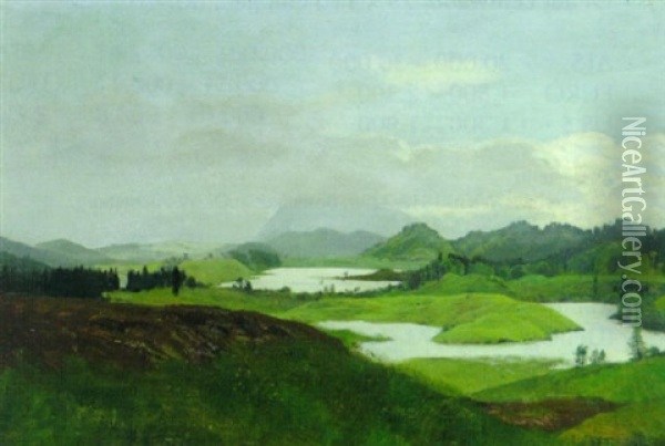 Sommerlandschaft Mit Seen Oil Painting - Hans Frank