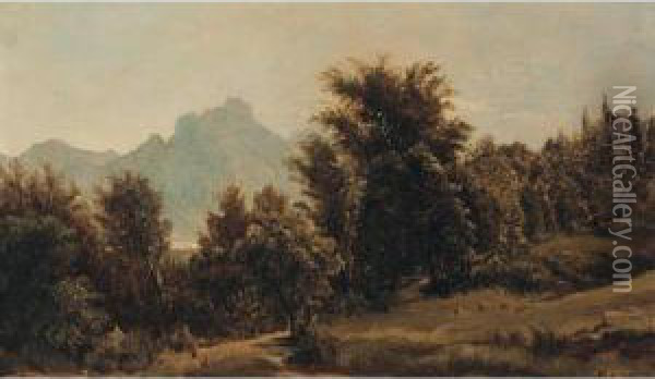 Motiv Aus Dem Salzkammergut (landscape In The Salzkammergut) Oil Painting - Carl Schuch