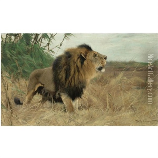 Beberlowe - Berber Lion (+ Sheet Of Pencil Sketches Of Lions, 2 Works) Oil Painting - Wilhelm Friedrich Kuhnert