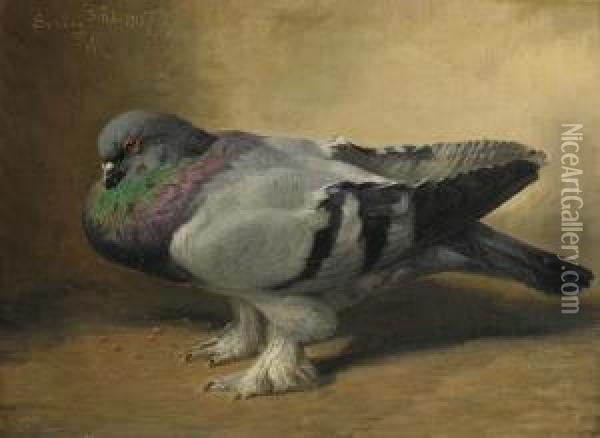 Pigeon Oil Painting - R.C. Rasmussen