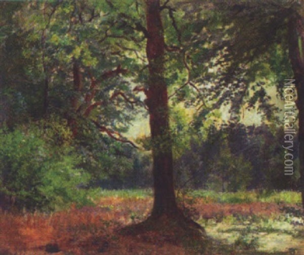 Skovparti Med Lysning Oil Painting - Carl Carlsen