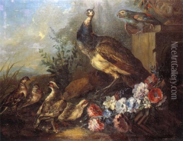 Paon Et Perdrix Dans Un Parc Oil Painting - Angelo Maria (Crivellone) Crivelli