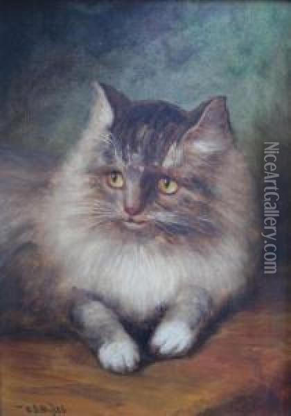 A Favourite Cat Oil Painting - William Scott Myles